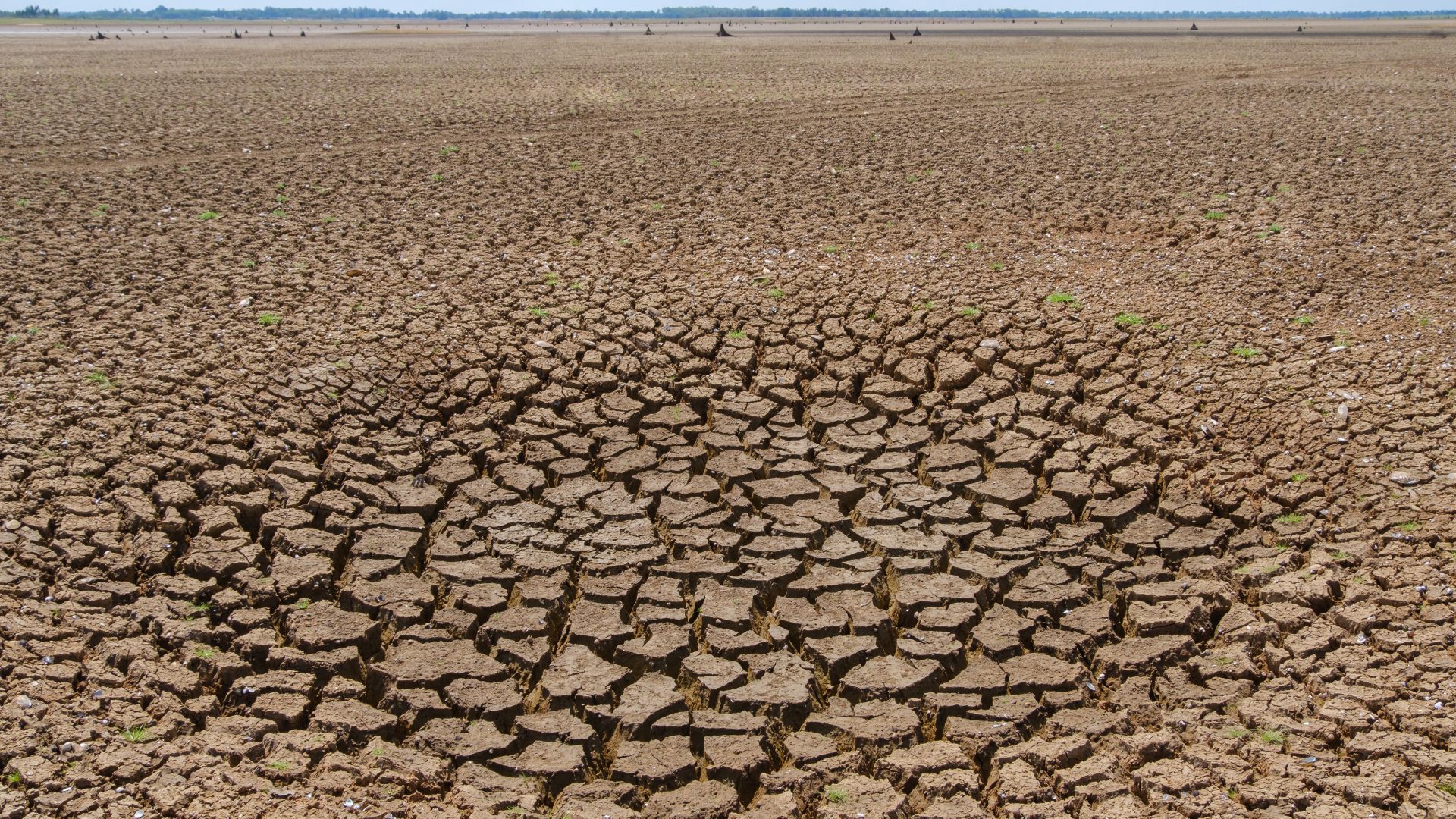 Drought